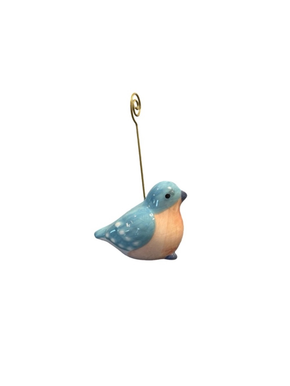New Bird Photo Clip or Note Clip Holder